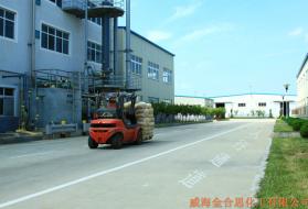 機(jī)動車道及人行通道