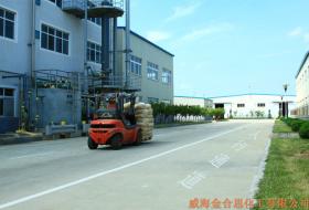 機(jī)動(dòng)車道及人行通道